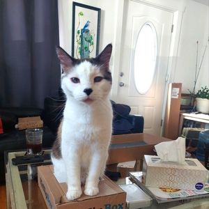 Meet your Posher, Alexander